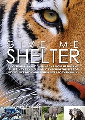 Give Me Shelter DVD (2014)