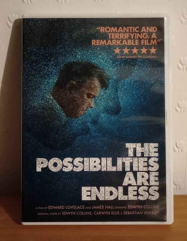 The Possibilities Are Endless DVD