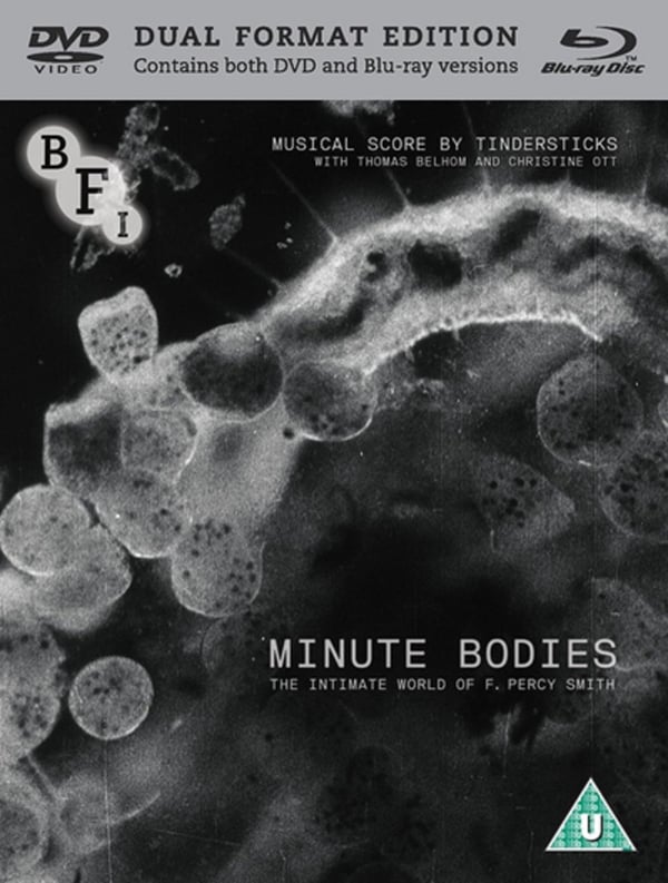 Minute Bodies (Blu-ray)