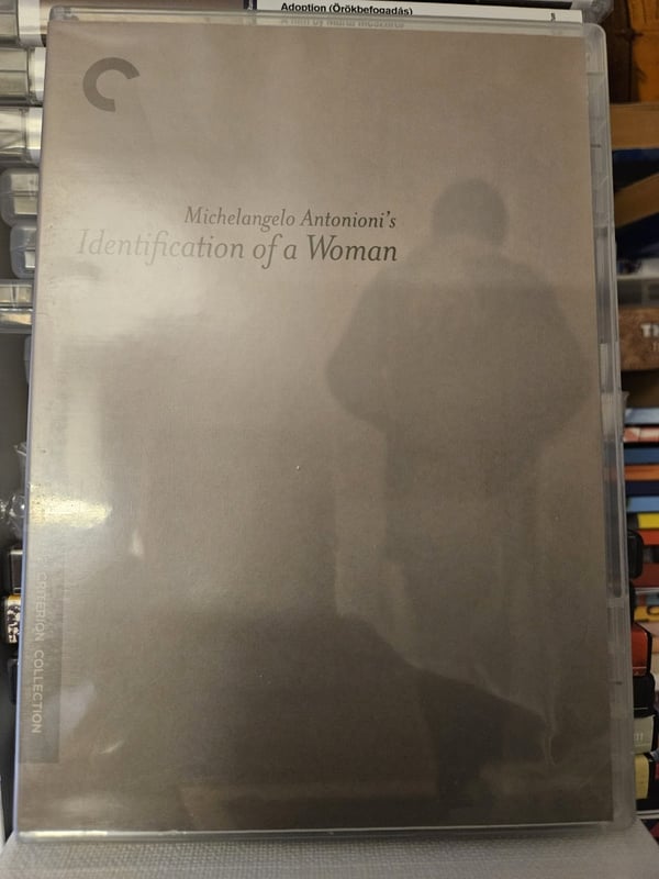 Identification of a Woman (1982) DVD