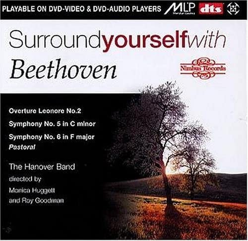 Surround Yourself With Beethoven (Huggett, Goodman) DVD