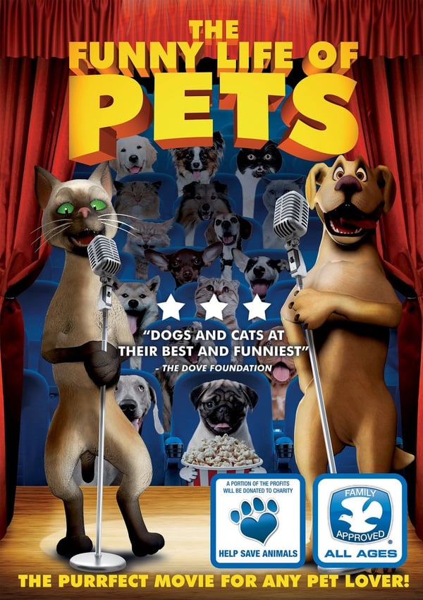 Kjæledyrenes hemmelige liv (The Secret Life of Pets) DVD