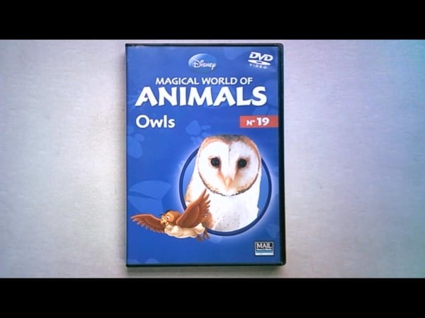 Magical World of Animals: Ugler - Naturdokumentar DVD