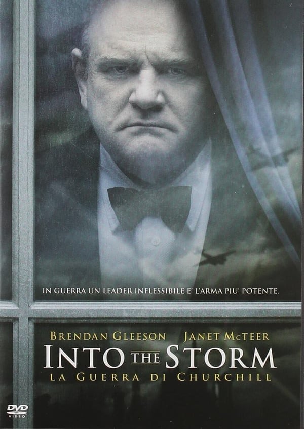 Into The Storm (2009) DVD – Winston Churchill Film (Original UK Release)