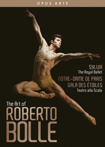 The Art of Roberto Bolle (DVD)