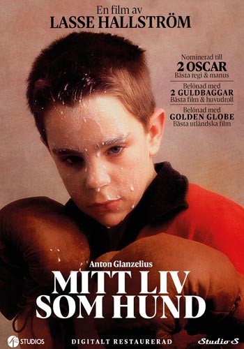 Mitt liv som hund (1985) DVD - Svensk drama med engelske undertekster