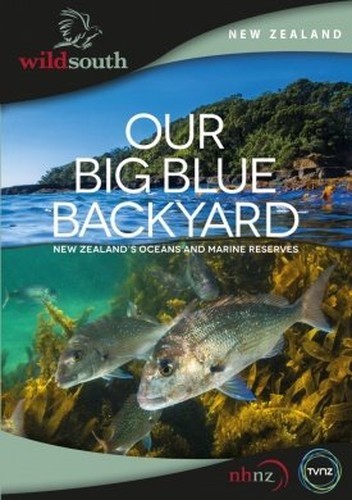 Our Big Blue Backyard G3VG DVD