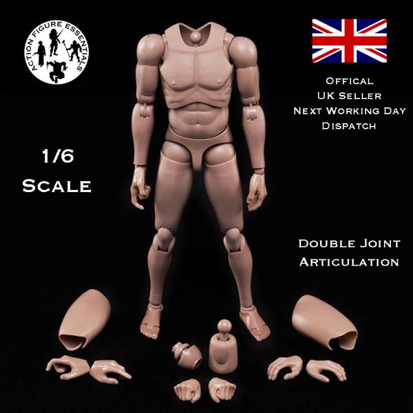 1/6 Body Action Figure Narrow Shoulder Male Slim Doll Model 12 Hot Toys Scale Brand New