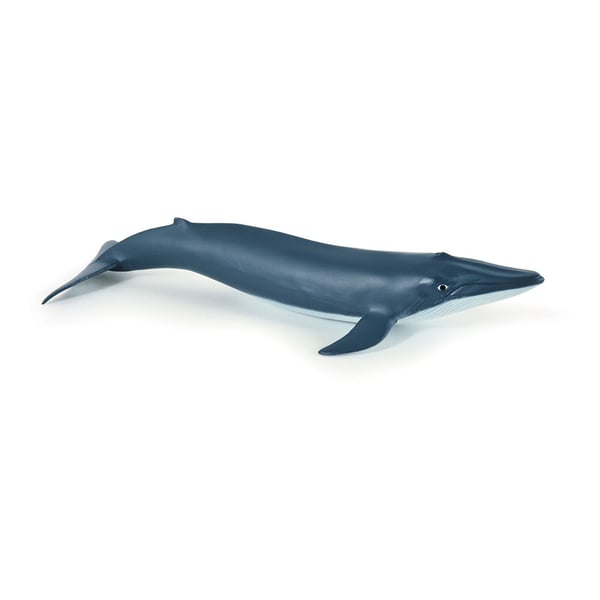 PAPO Marine Life Blue Whale Calf Toy Figure Brand New