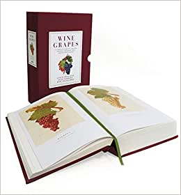 Vindruer: En komplet guide til 1368 druesorter inklusive deres oprindelse og smag