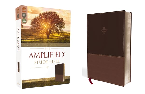 The Amplified Study Bible, læderindbundet, brun
