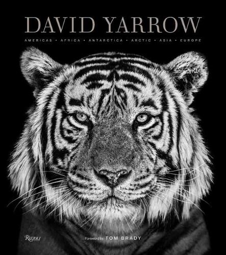 David Yarrow Fotografi: Amerika Afrika Antarktis Arktis Asien Europa