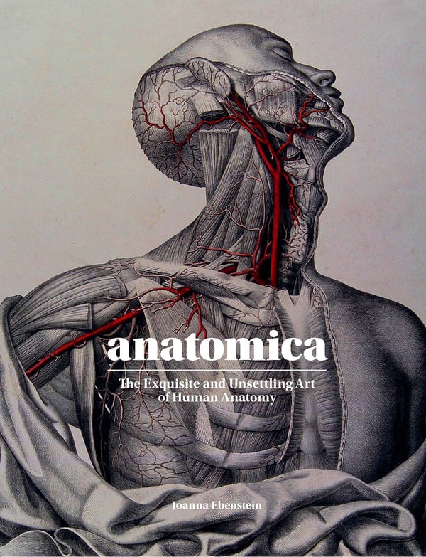 Anatomica: Den udsøgte og foruroligende kunst om menneskets anatomi