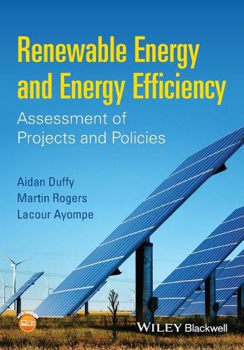 Vedvarende energi og energieffektivitet: Vurdering af projekter og politikker