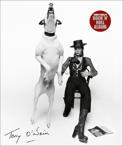 Terry O'Neills Rock 'n' Roll Album
