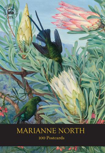 Marianne North 100 postikorttia