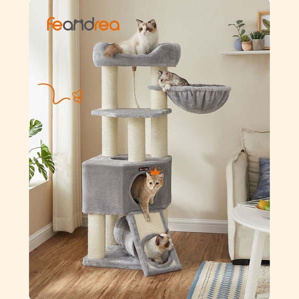 Kattetræ til store katte