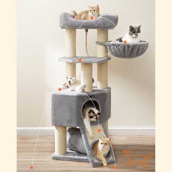 Kattetræ til store katte
