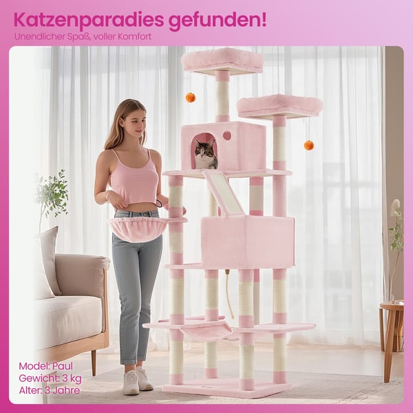 Feandrea raapimispuu 206 cm korkea, kissapuu, 13 raapimispylvästä