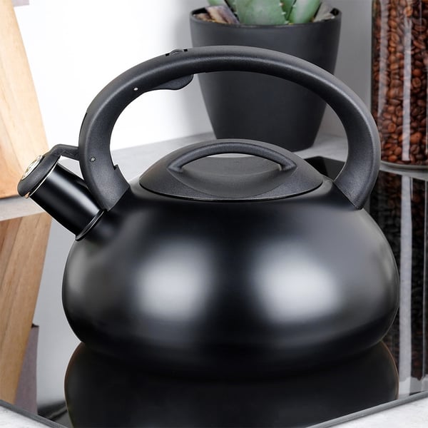 Viheltävä vedenkeitin, terästä, musta, 3 l