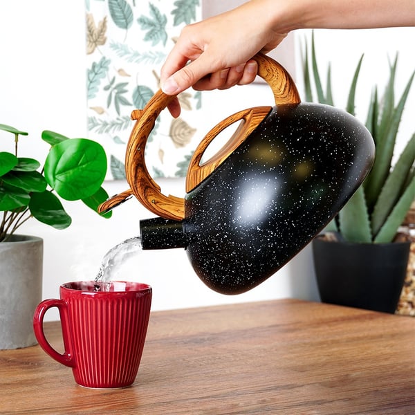 Viheltävä vedenkeitin, terästä, musta, 3 l