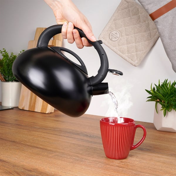 Viheltävä vedenkeitin, terästä, musta, 3 l