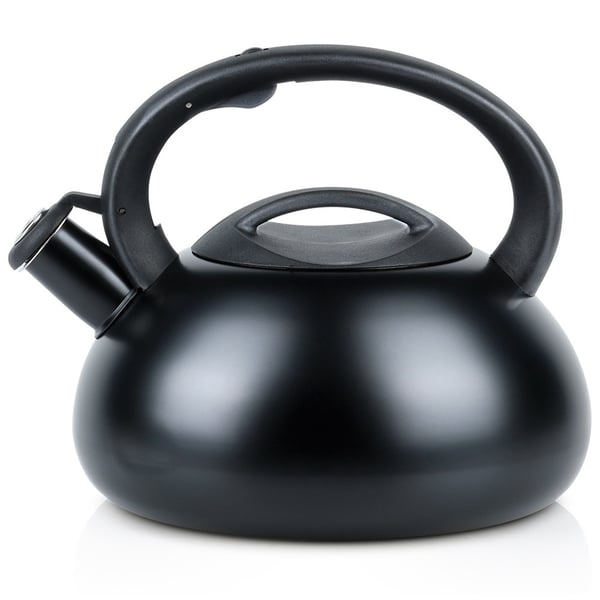 Viheltävä vedenkeitin, terästä, musta, 3 l