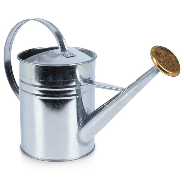 Metallvattenkanna 1,9 l
