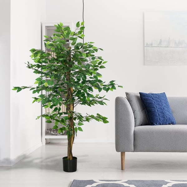 Kunstig Ficus Træ, 150 cm, Grøn