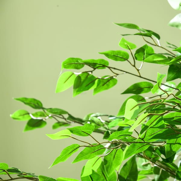 Kunstig Ficus Træ 180 cm Grøn, plast