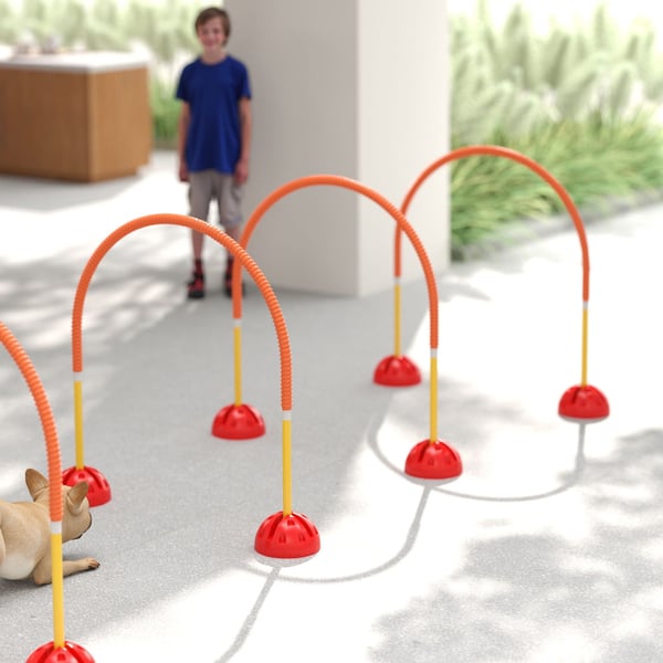 Hundagilitetsutrustning set, 100x19.5x95 cm, Orange, Träning