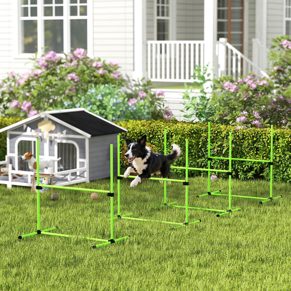 Agility Set, 4-delat justerbart hundagilityutrustning, 99x65x94 cm, Grön, Plast