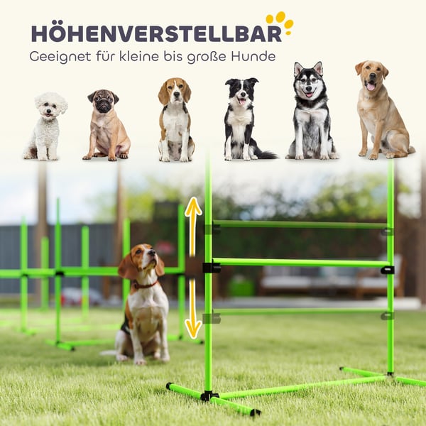 Agility Set, 4-delat justerbart hundagilityutrustning, 99x65x94 cm, Grön, Plast