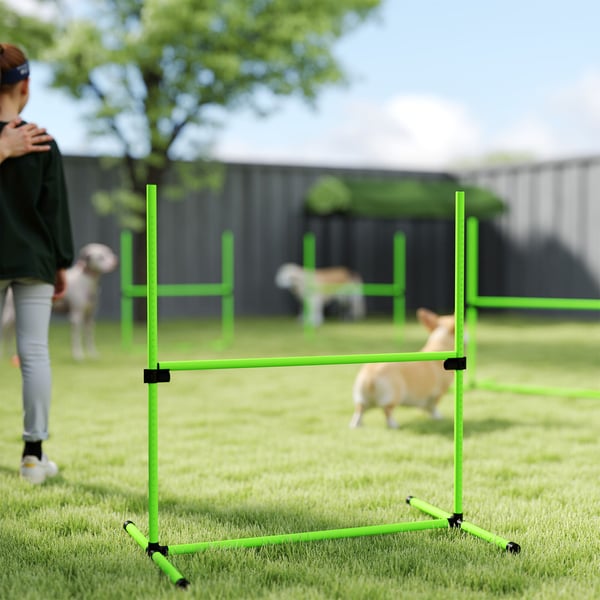 Agility Set, 4-delat justerbart hundagilityutrustning, 99x65x94 cm, Grön, Plast