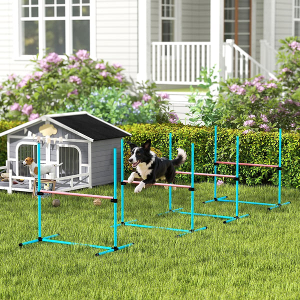Agility Set, 99x65x94 cm, Ljusblå, Justerbar Träningsutrustning