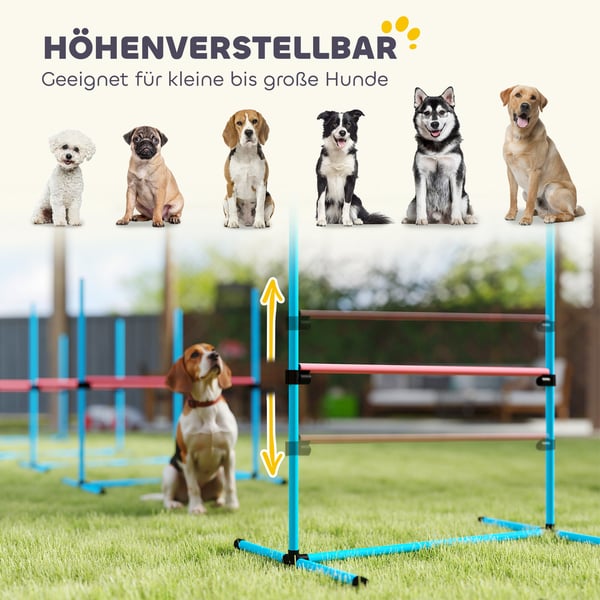 Agility Set, 99x65x94 cm, Ljusblå, Justerbar Träningsutrustning