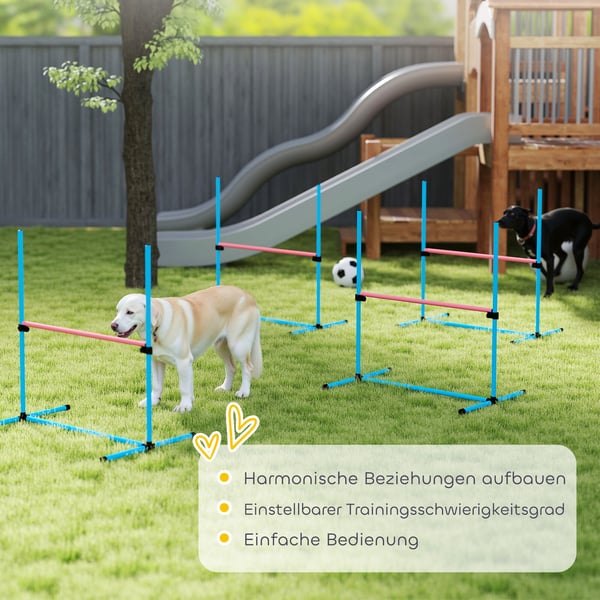 Agility Set, 99x65x94 cm, Ljusblå, Justerbar Träningsutrustning