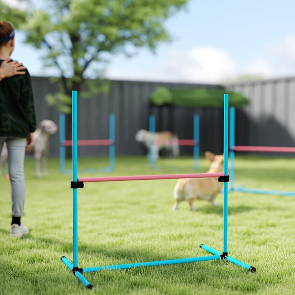 Agility Set, 99x65x94 cm, Ljusblå, Justerbar Träningsutrustning