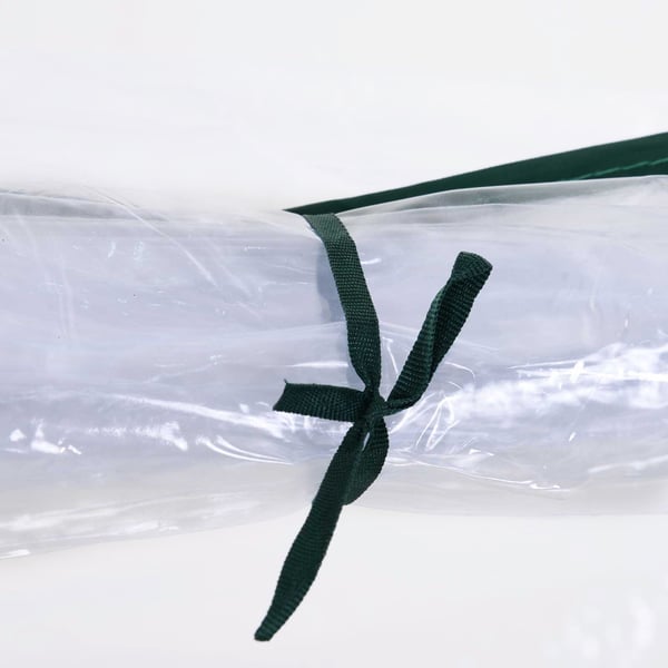 Drivhus, 250x100x80 cm, Transparent