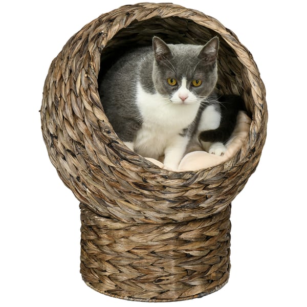 Katteseng, Rattan kattehule med pude, 42x33x52 cm, Brun