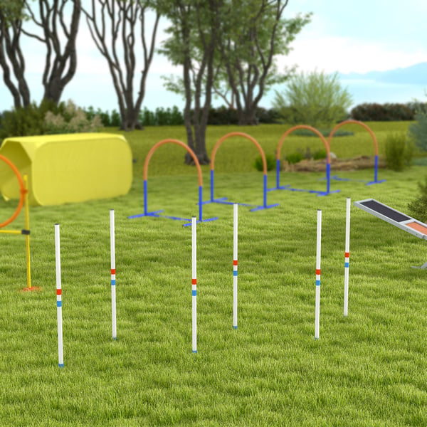 Hund Agility Stang Sæt, 305x60x94 cm, Hvid Blå