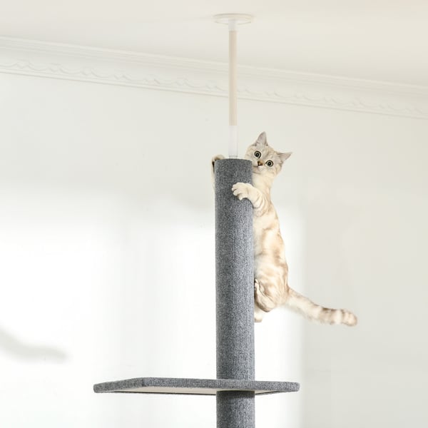 Kattetårn, Justerbar kradsetræ, 43x27x228-260 cm, Grå