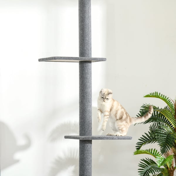 Kattetårn, Justerbar kradsetræ, 43x27x228-260 cm, Grå