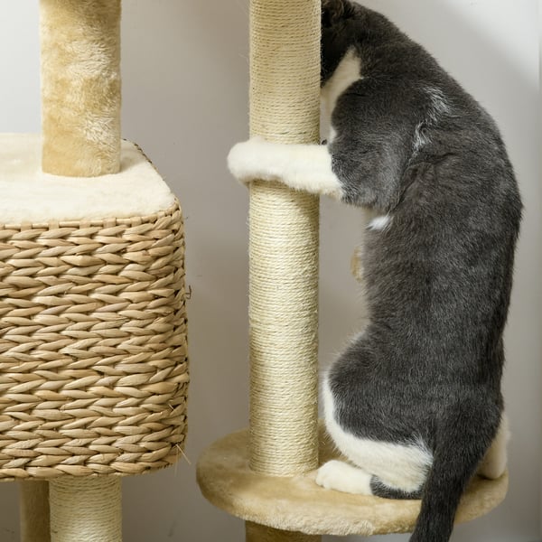 Kattträd, 60x40x98 cm, Beige
