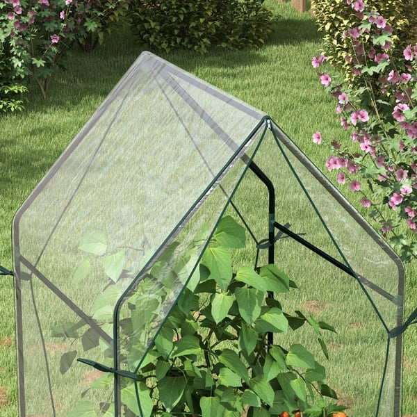 Växthus, 90x90x145 cm, Transparent