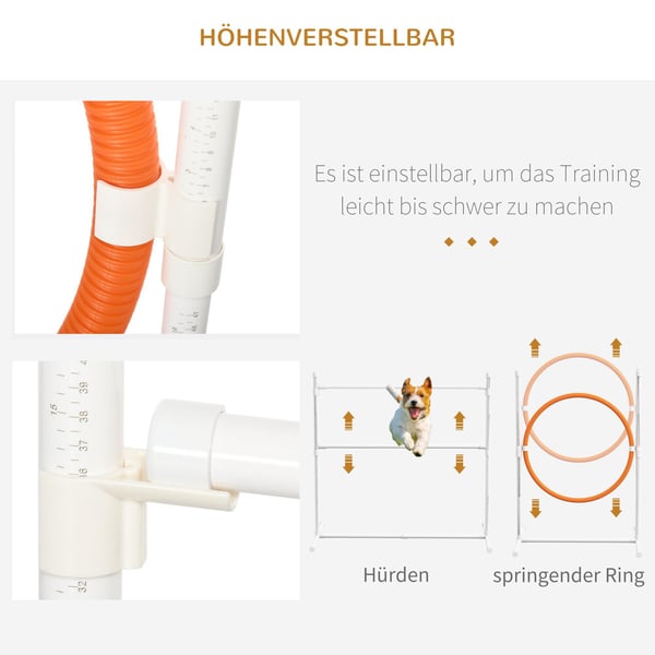 Hundagilityset, 67x63x93 cm, Vit, Orange, Blå