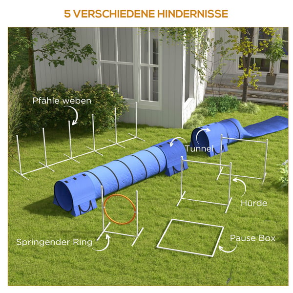 Hundagilityset, 67x63x93 cm, Vit, Orange, Blå