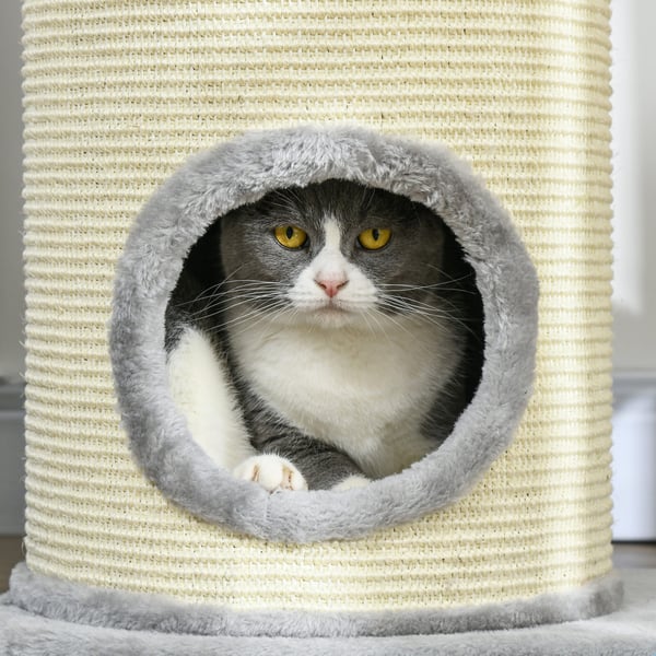 Kissapuu, 59x35x100 cm, Harmaa