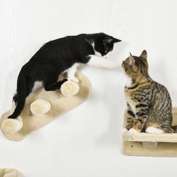 Klatrevæg til katte, 40x28x73 cm, Beige