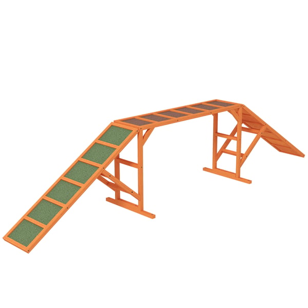 Hundagilityramp, 325x55x69 cm, Orange